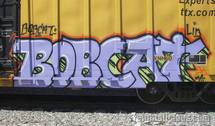 bobcat-writers-0001